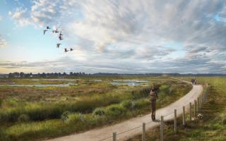 Artist's impression of the Moors at Arne scheme. Picture: Environment Agency