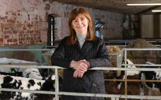 Welsh rural affairs minister Lesley Griffiths