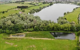 Two wetland habitats have been already created to the west of Durleigh Reservoir.