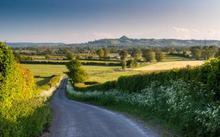 Lane leading down to the Somerset Levels.