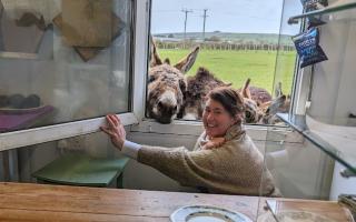 Dawn Jones of The Crate in Helston with one of her rescued donkeys