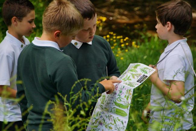 Devon Wildlife Trust Nature Schools - Credit Charlie Tyjas