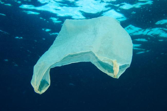 Eight million tonnes of plastic pollute oceans each year
