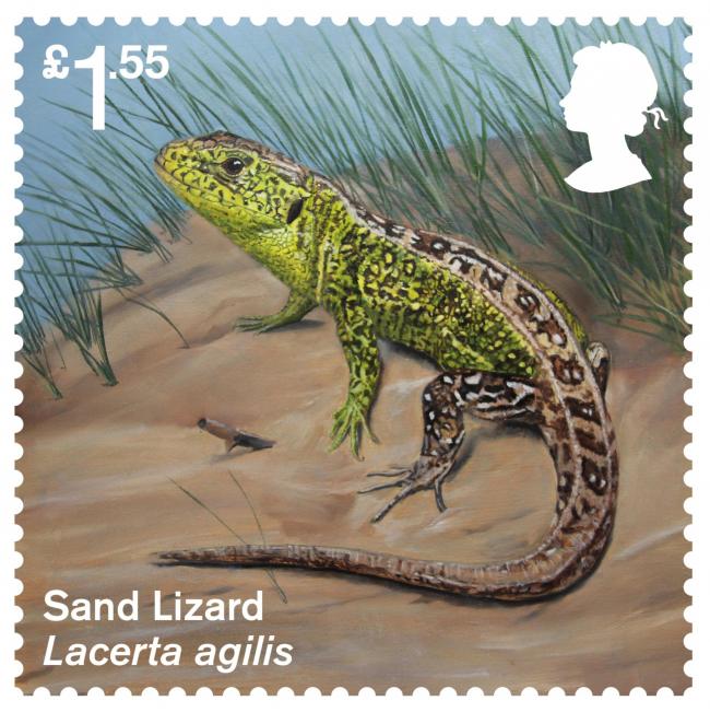 Royal Mail's new stamps mark reintroduction of extinct species